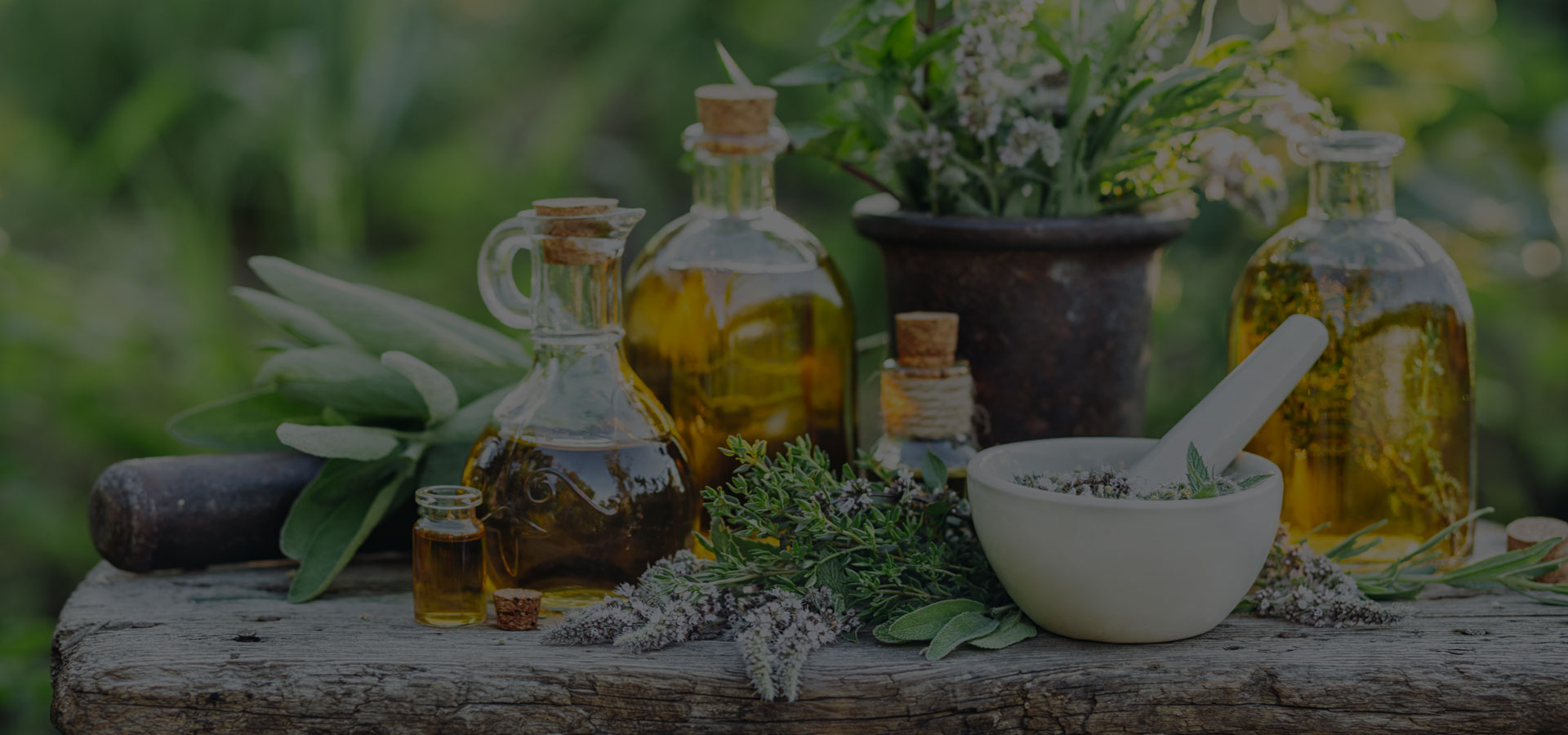 potager à plantes medicinales
