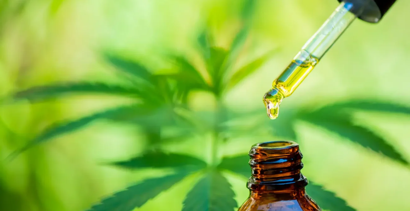 Des mains préparent une dose de CBD près d'un minuteur sur téléphone.